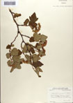000085841-thumbnail.jpg