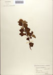 000085845-thumbnail.jpg