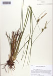 000086175-thumbnail.jpg