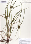 000086184-thumbnail.jpg