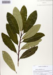 000086201-thumbnail.jpg