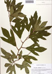 000086210-thumbnail.jpg