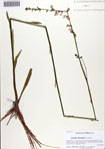 000086215-thumbnail.jpg