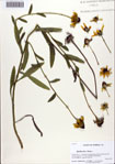 000086238-thumbnail.jpg