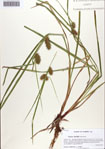 000086241-thumbnail.jpg