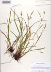 000086249-thumbnail.jpg