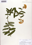 000086266-thumbnail.jpg