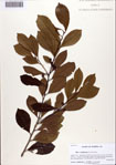 000086276-thumbnail.jpg