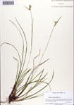000086296-thumbnail.jpg