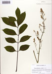 000086314-thumbnail.jpg