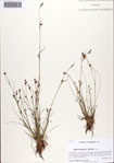 000086334-thumbnail.jpg