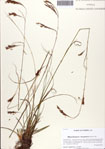 000086337-thumbnail.jpg