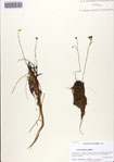 000086349-thumbnail.jpg