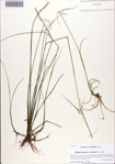 000086351-thumbnail.jpg
