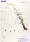 000086434-thumbnail.jpg