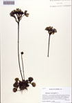 000086447-thumbnail.jpg