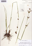 000086452-thumbnail.jpg