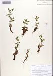 000086479-thumbnail.jpg