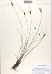 000086511-thumbnail.jpg