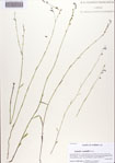 000086522-thumbnail.jpg