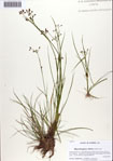 000086530-thumbnail.jpg