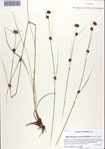 000086549-thumbnail.jpg