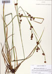 000086550-thumbnail.jpg