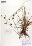 000086562-thumbnail.jpg