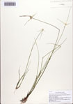 000086563-thumbnail.jpg