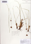 000086566-thumbnail.jpg