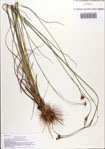 000086570-thumbnail.jpg