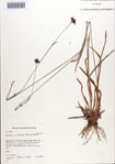 000086576-thumbnail.jpg