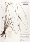 000086578-thumbnail.jpg