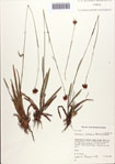 000086579-thumbnail.jpg