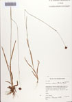 000086580-thumbnail.jpg