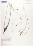 000086581-thumbnail.jpg