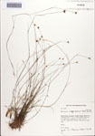000086582-thumbnail.jpg