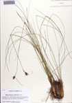 000086601-thumbnail.jpg