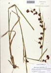 000086605-thumbnail.jpg