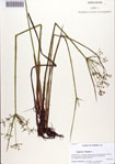 000086615-thumbnail.jpg