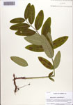 000086623-thumbnail.jpg