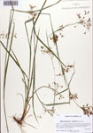 000086641-thumbnail.jpg