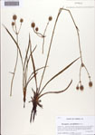 000086661-thumbnail.jpg