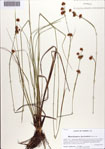 000086670-thumbnail.jpg