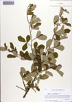 000086673-thumbnail.jpg