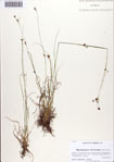 000086678-thumbnail.jpg