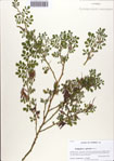 000086703-thumbnail.jpg