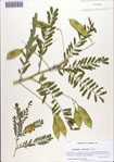 000086714-thumbnail.jpg