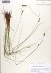 000086724-thumbnail.jpg