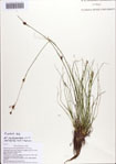 000086740-thumbnail.jpg